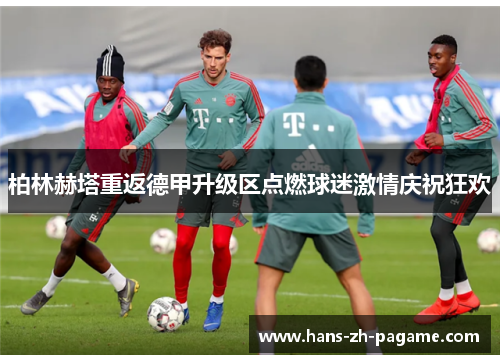 柏林赫塔重返德甲升级区点燃球迷激情庆祝狂欢